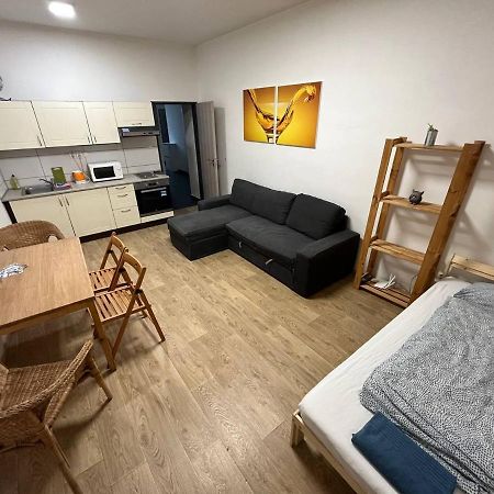 Апартаменти Apartmans In The Center With Privat Parking Брно Екстер'єр фото
