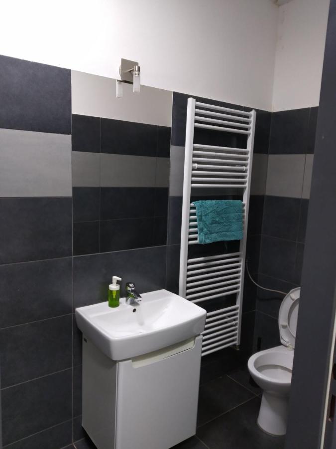 Апартаменти Apartmans In The Center With Privat Parking Брно Екстер'єр фото